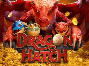 255BET PIX instantâneo Brasil - Depósito e saque em minutos 24/7
